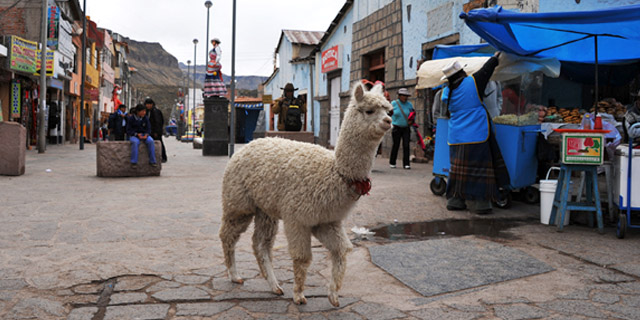 Перу. Улица города Пуно