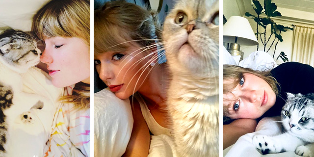 Фотографии Тейлор Свифт с кошками Мередит  и Оливия
