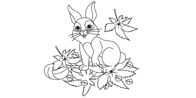 Раскраска: кролик