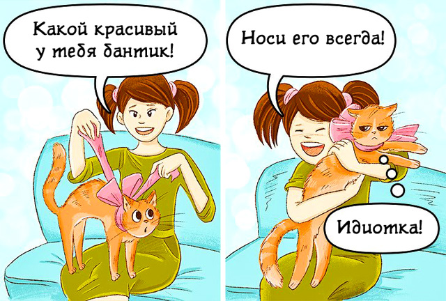 Комиксы про кошек: бантик