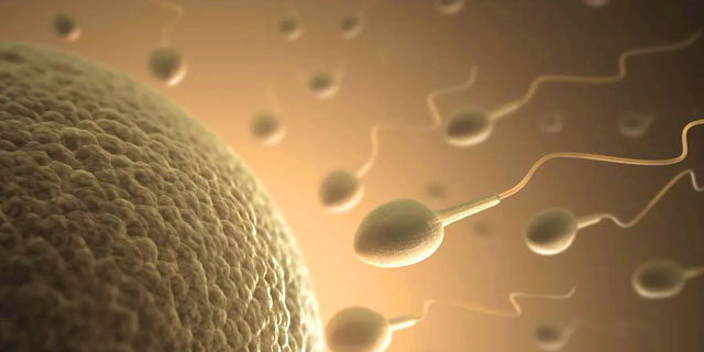 Коронавирус и сперматозоиды