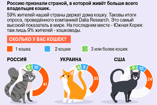 Сколько кошек в России
