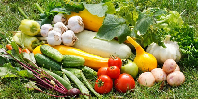 Овощи для здорового питания