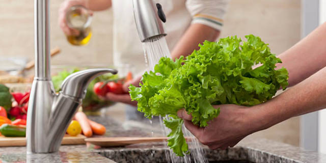 Салат зеленый листовой. Польза