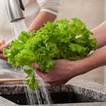 Листовой салат