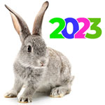 Кролик 2023