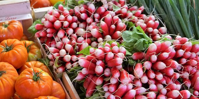 Редис – один из первых свежих овощей