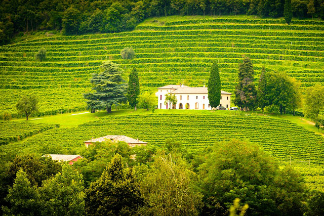 Италия: винодельня