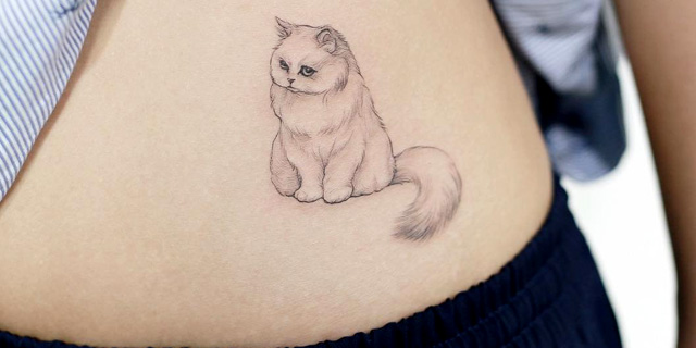 Кошка. Татуировка для девушек на животе
